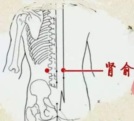 什么灸成语_脾虚艾灸什么部位图(3)