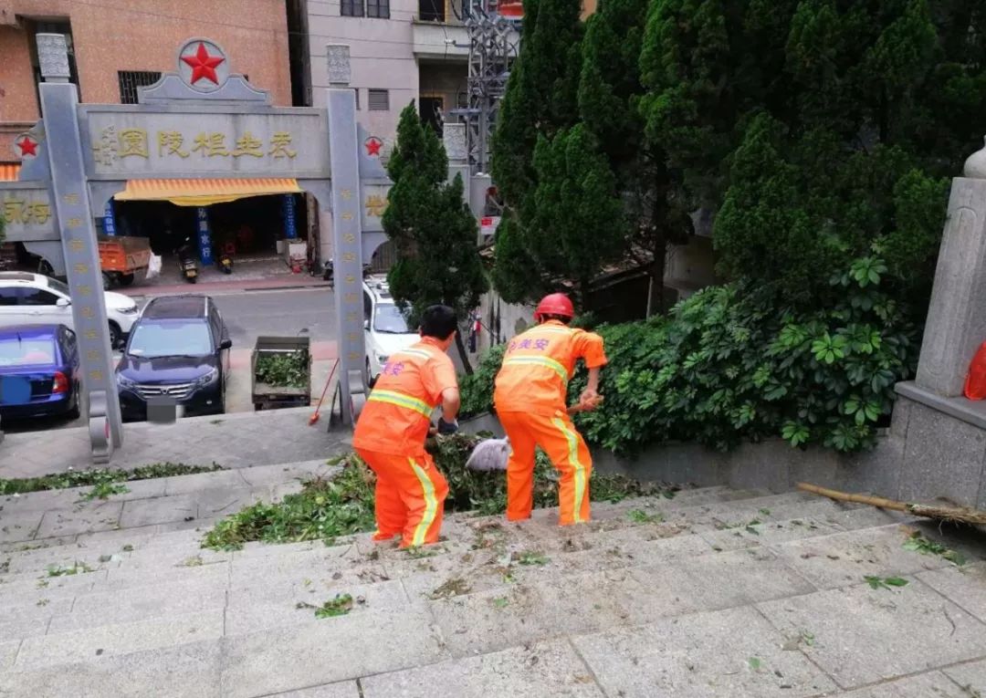 海洲村加强辖区内墓区周边环境卫生整治工作