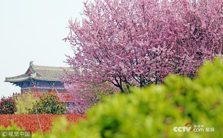 [高清组图]四月芳菲话清明 跟随古诗词去踏青 解锁春日万千妙趣