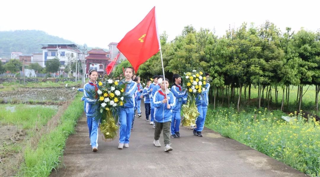 临武县六完小清明节十八岿烈士陵园祭扫活动