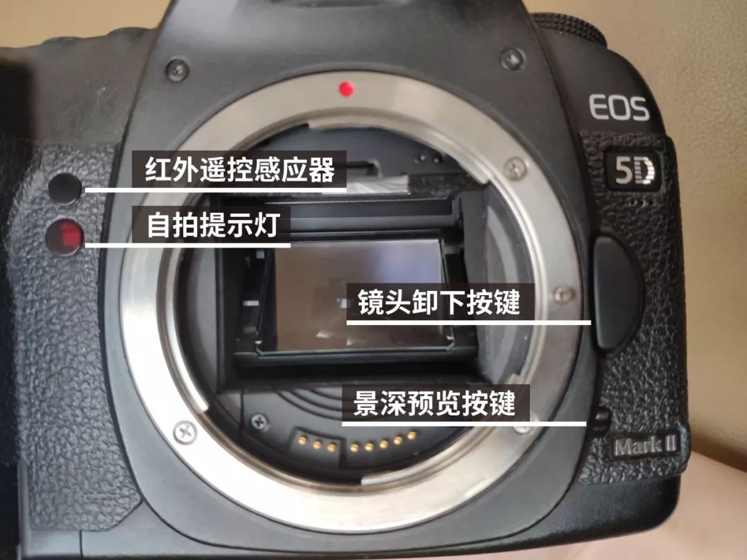 【金典解答】佳能相机5d单机如何使用
