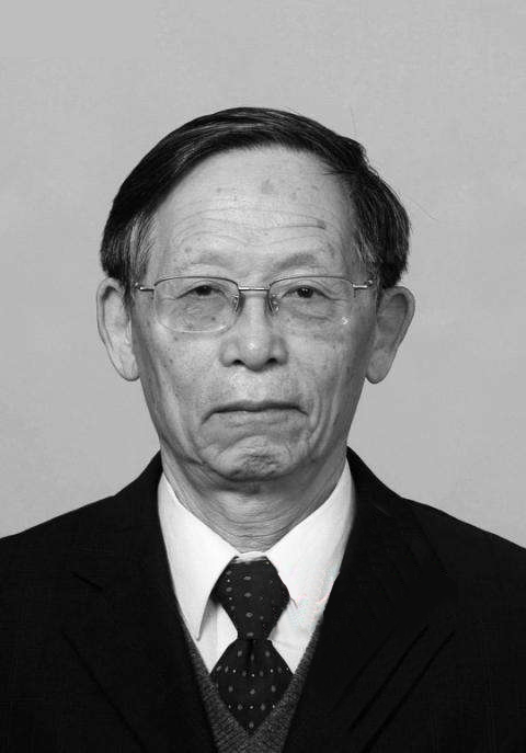 顺联动力董事长郭宏安_顺联动力图片