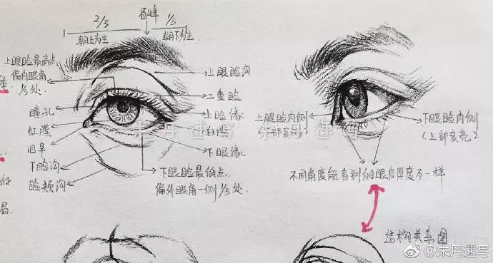 一般炭笔是画速写最好的工具 眼睛技法 无论是画素描还是速写 眼睛