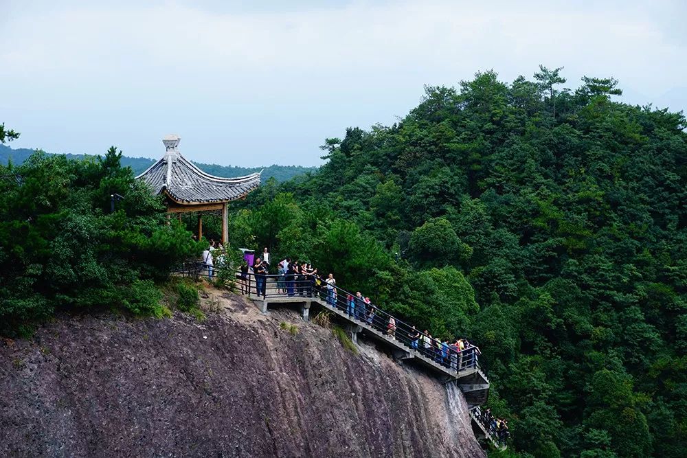 仙居下各镇多少人口_2019仙居下岸水库(2)