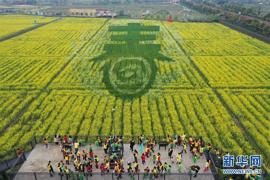 4月4日,在湖南省澧县城头山旅游景区,人们在观景台上欣赏盎然"春"景.