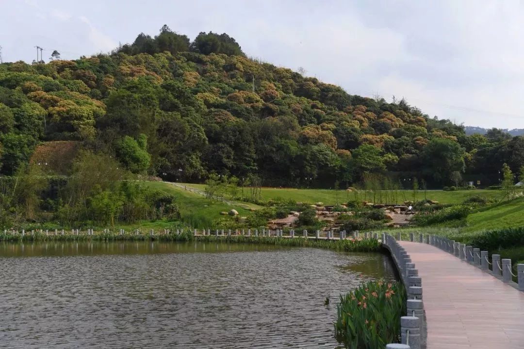 恩寺,龙潭寺 这是一个 以园林格局结合生态景观 打造禅意式的湿地公园