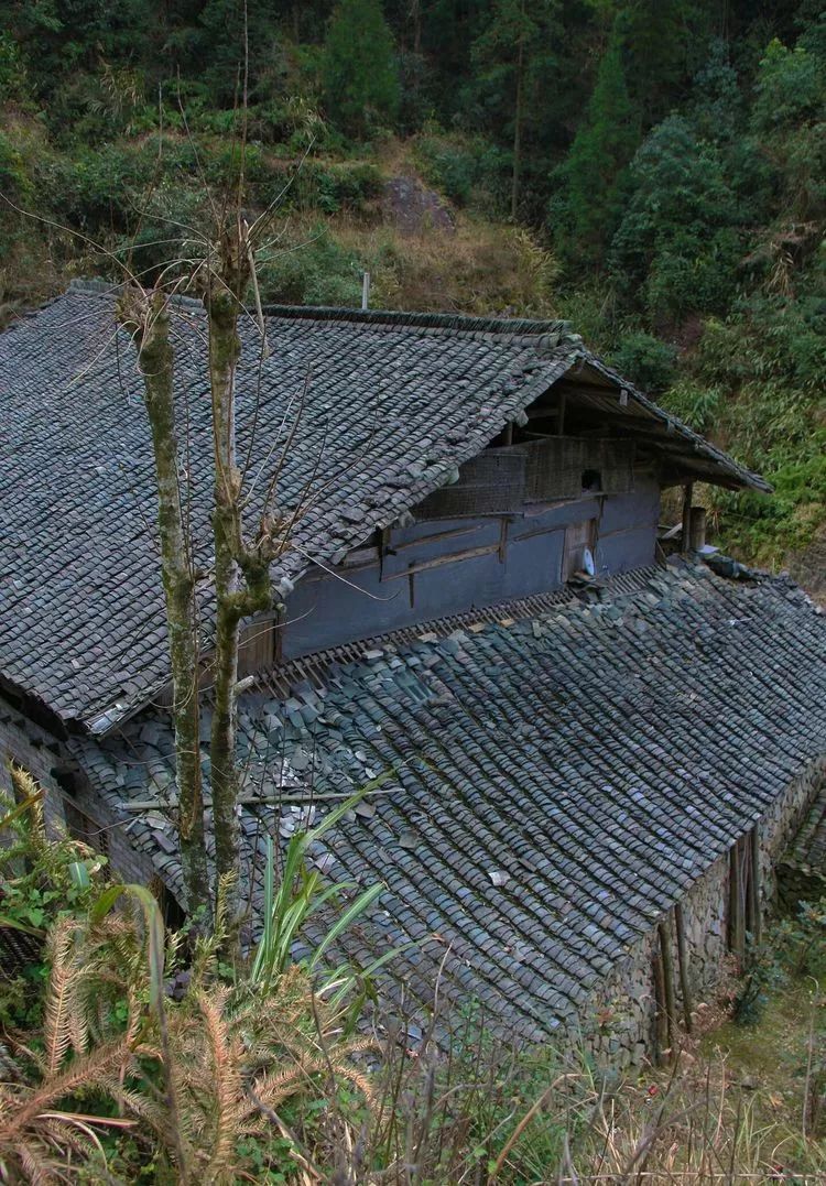 就算是地地道道的永嘉人