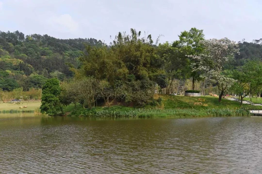 恩寺,龙潭寺 这是一个 以园林格局结合生态景观 打造禅意式的湿地公园