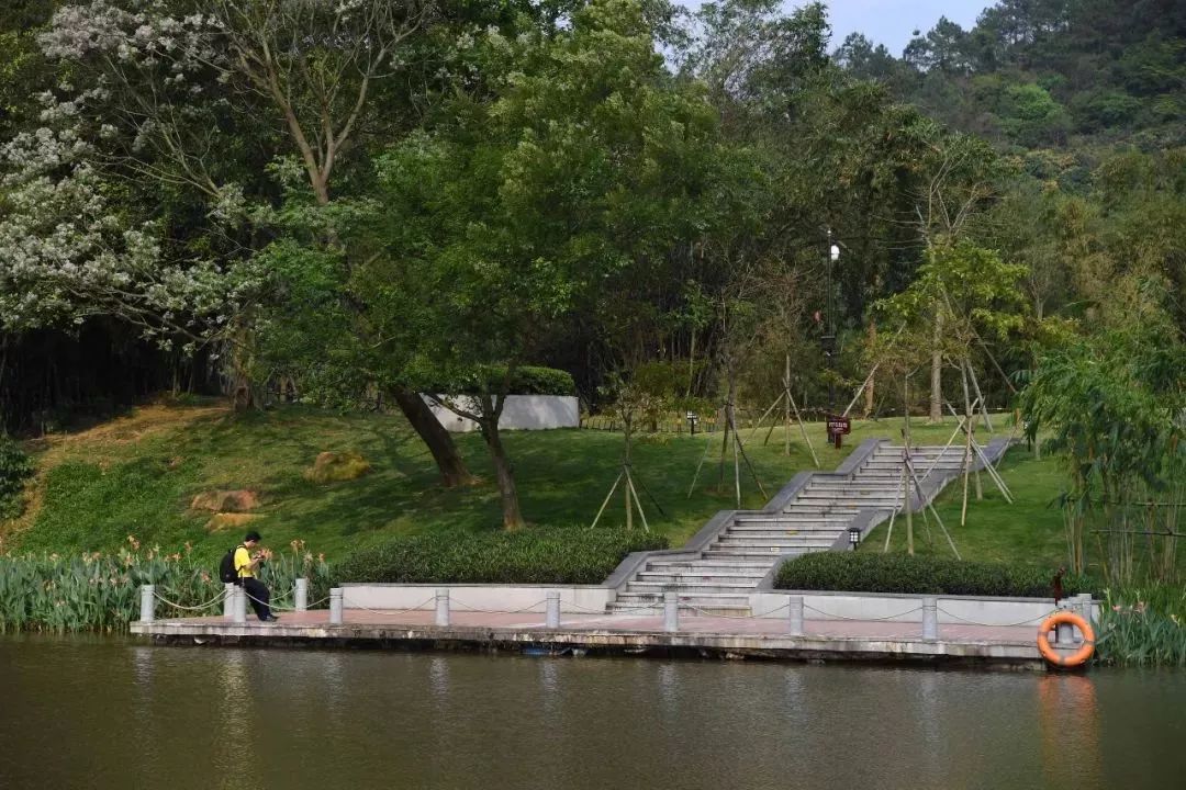 新兴龙潭湖湿地公园 位于六祖故里旅游度假区核心地带 紧邻国恩寺