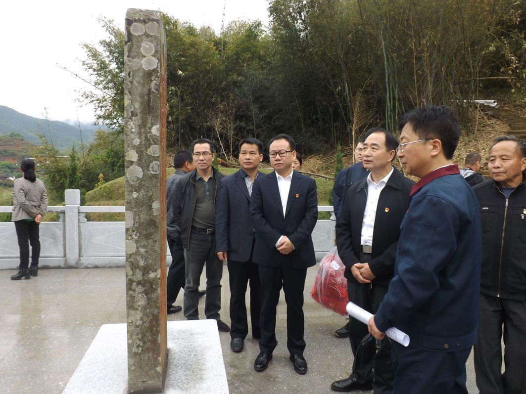 缅怀革命先烈争当时代先锋漳平市领导祭扫龙均爵烈士陵园