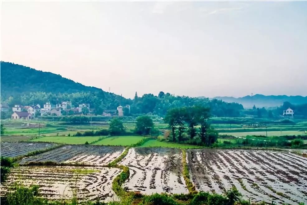 农村土地确权 人口_农村土地确权流程图