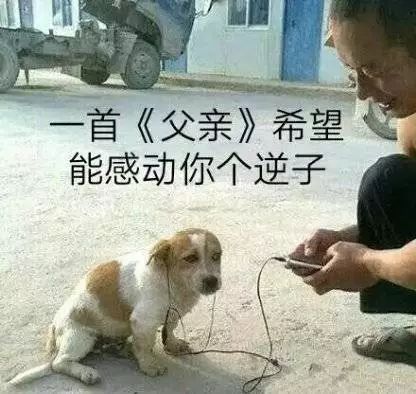 超级无敌巨沙雕表情包