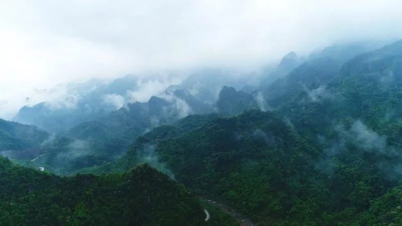 桂平紫荆山