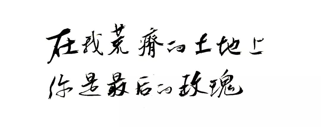 练字作业 | 在我荒瘠的土地上你是最后的玫瑰_聂鲁达