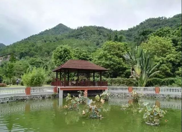 集赞旅游优惠活动决定你的潮州玉瑶网红山庄一日行