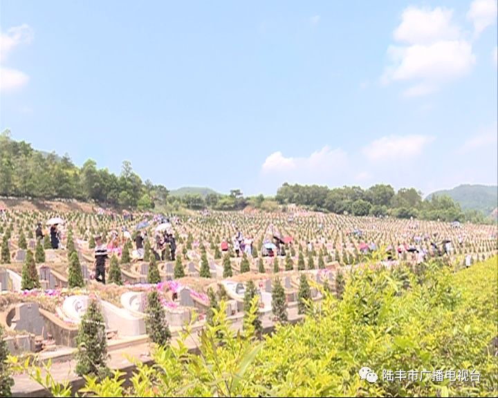 陆丰清明节鲜花祭祀成主流文明祭扫新风尚