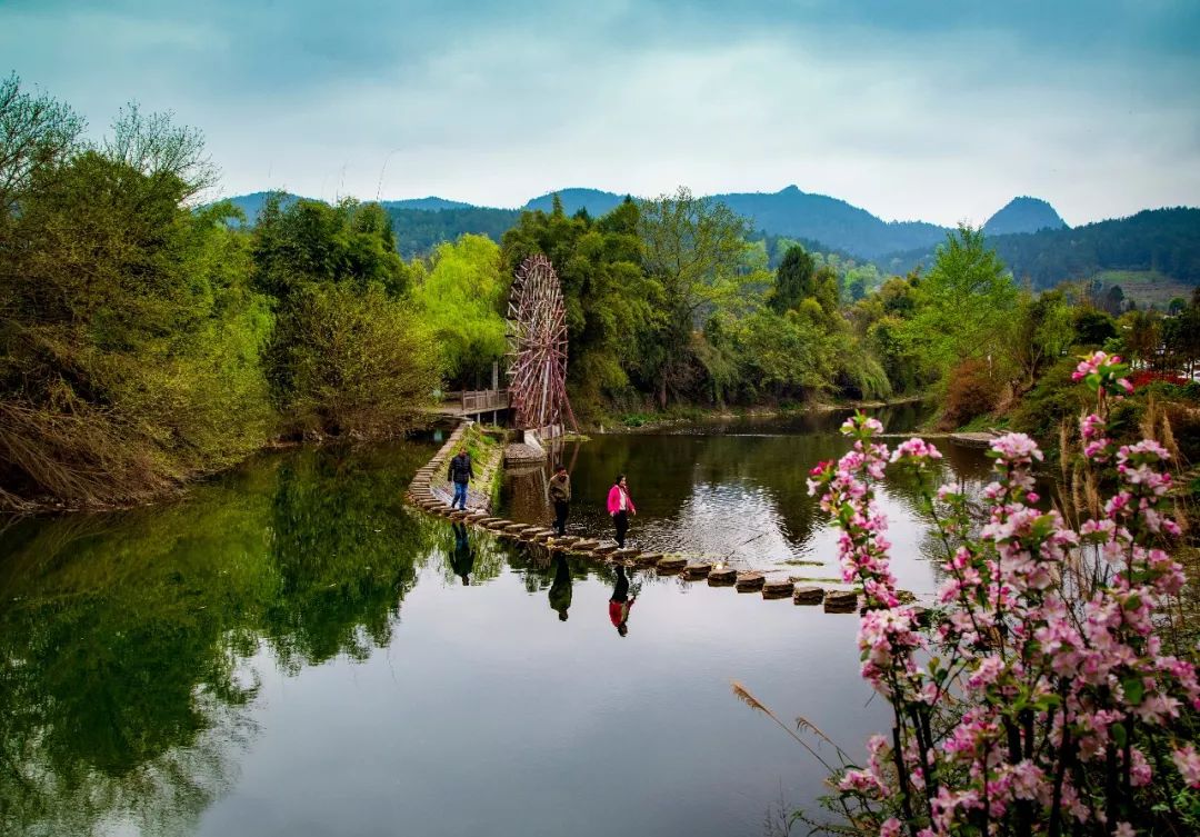 人间最美四月天 | 湄潭十里桃花江畔赏春景