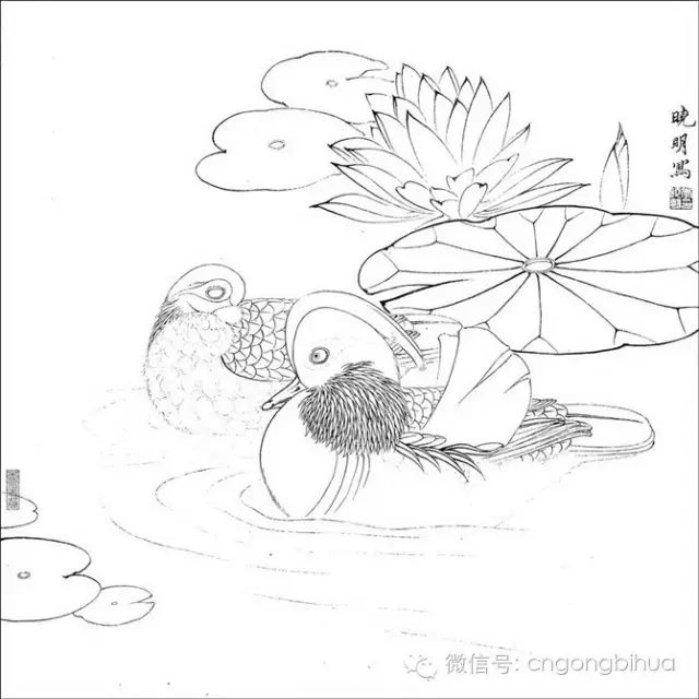 百花白描画稿