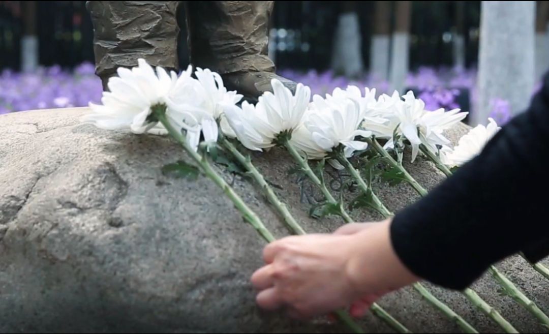 廊坊人清明节正确打开方式在这里