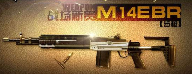 穿越火线:m14ebr基础评测,堪称"战场新贵"!