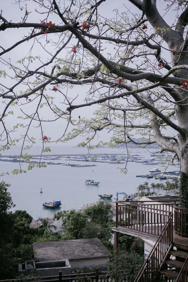 廣東最美島嶼竟在珠海？以前還是香港人的小天堂 旅遊 第3張