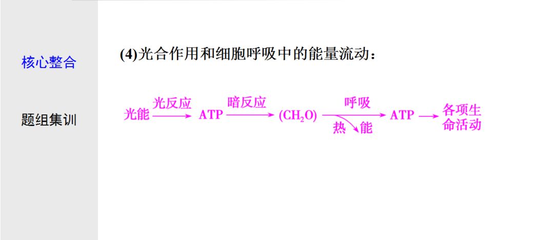 直击高考(二)细胞呼吸与光合作用