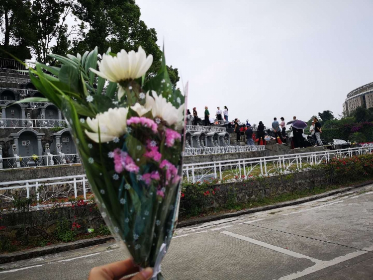 "昨日,深圳吉田墓园一位墓地管理员表示,感觉到近几年鲜花祭扫颇流行