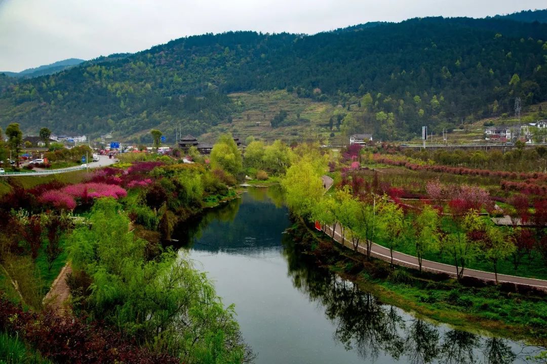 人间最美四月天 | 湄潭十里桃花江畔赏春景