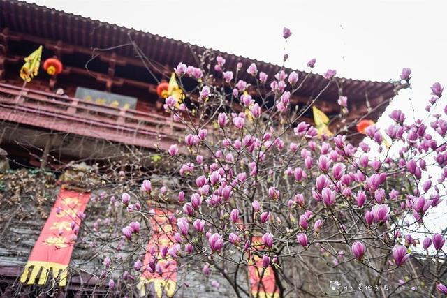 原創
            一日千年！史上最「認真」的穿越之旅，假裝在宋朝（城） 旅遊 第31張