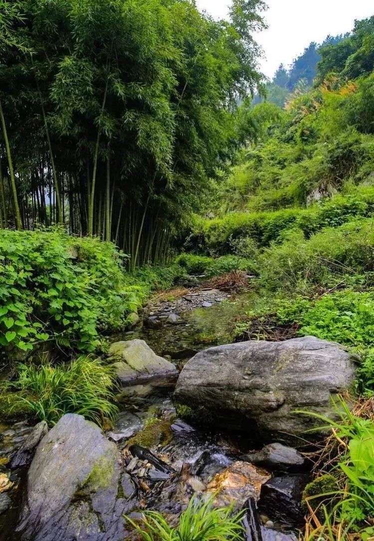 有溪,且洋溢着浓浓诗情画意的地名,眼前便能呈现出"屋绕湾溪竹绕山