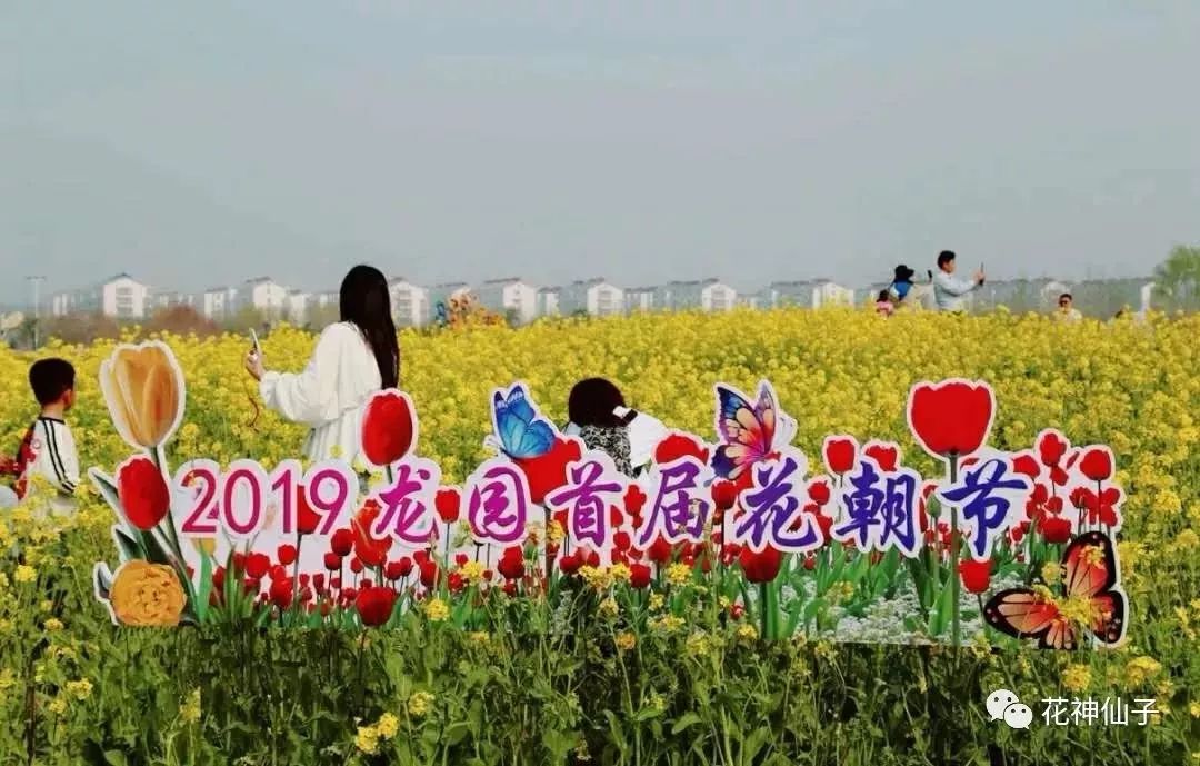 龙园首届花朝节十二位花神总有一位是你喜欢