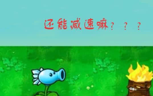 pvz怎么搭_老师怎么画