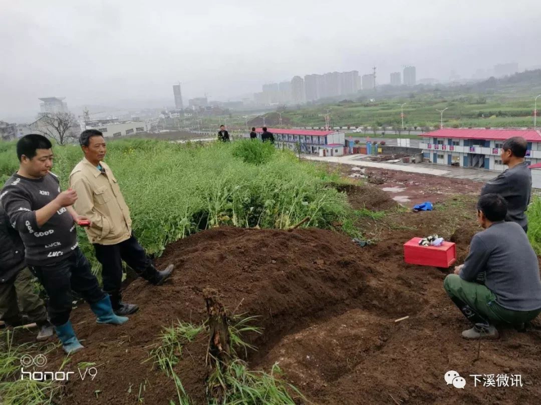 柳坞社区服务的区加油站扩征地块迁坟现场