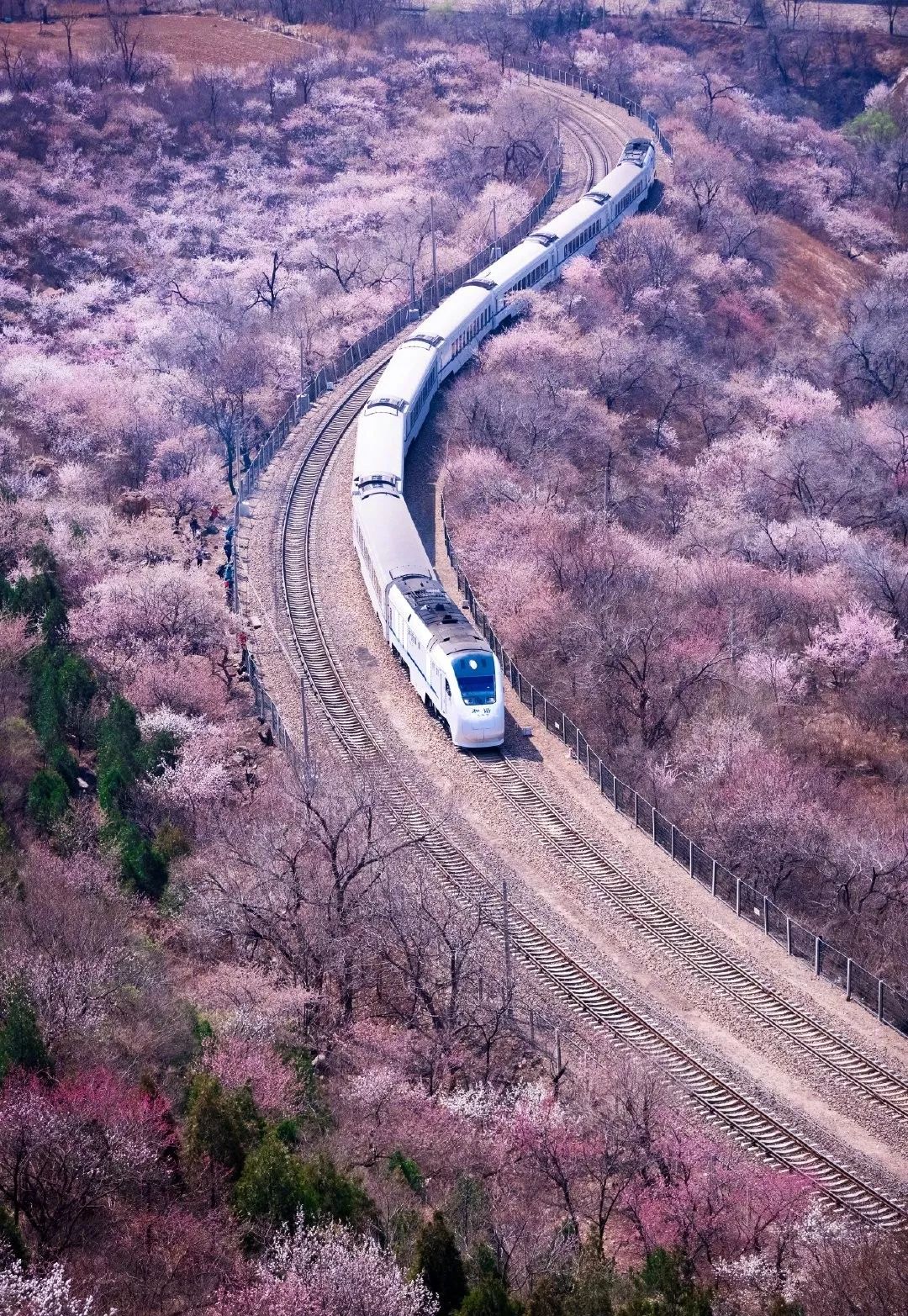 居庸关长城专列