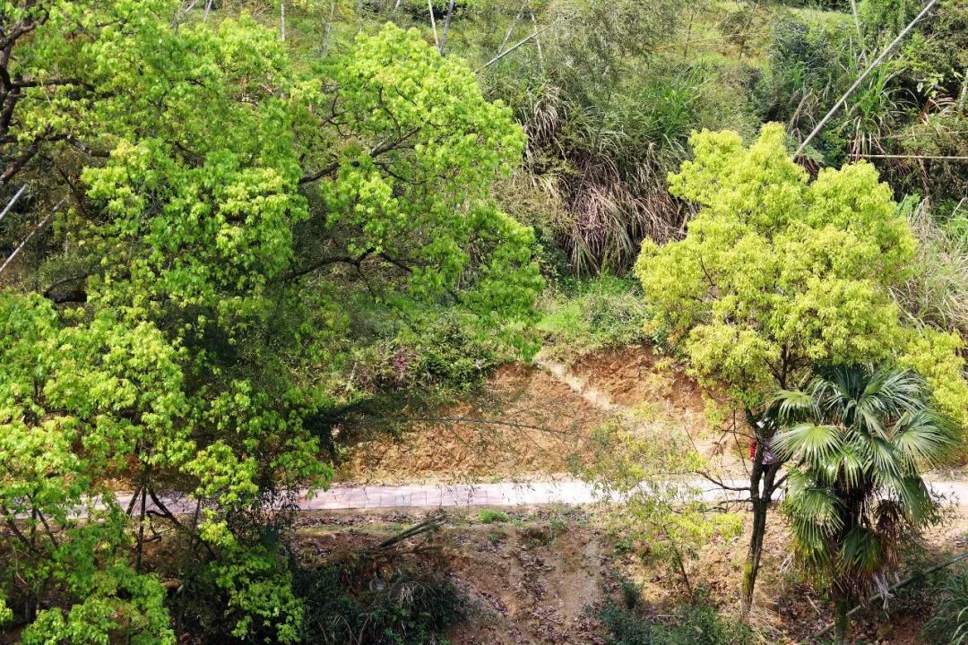 走进连江这个美丽乡村,能否唤起你的乡愁情._苏山村