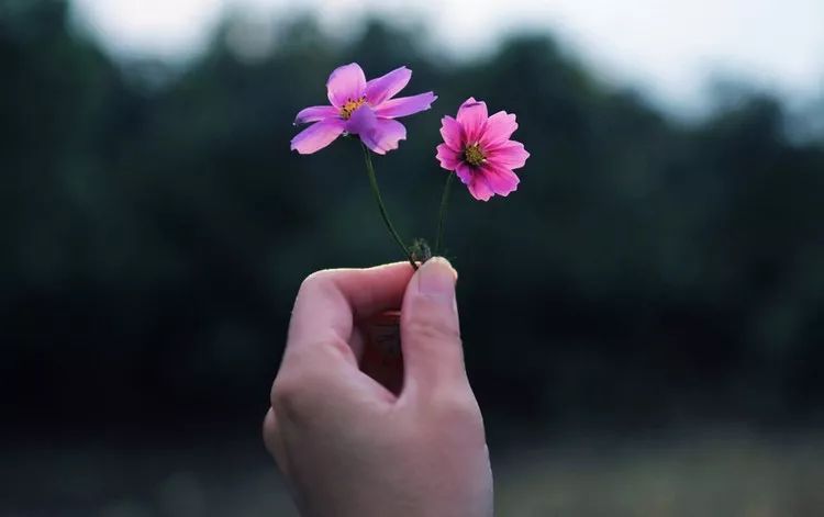 纵有三千烦恼,不如拈花一笑