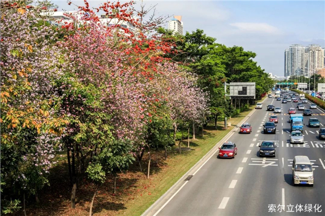 广东深圳:立体绿化助力花漾街区建设