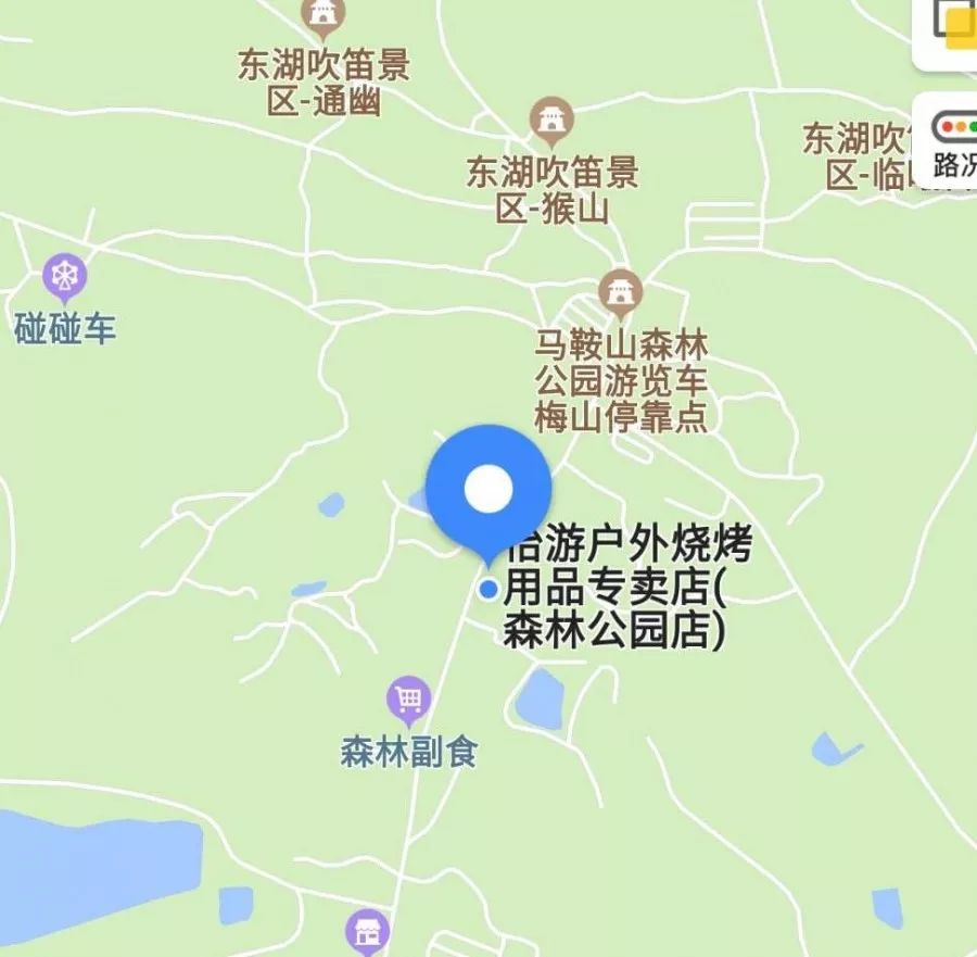 【撸串就要撸到老】69元抢购马鞍山森林公园户外烧烤2