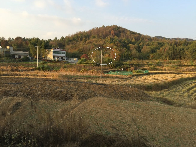 如何看风水宝地?风水大师王君植教你看风水走进何知府祖坟风水地