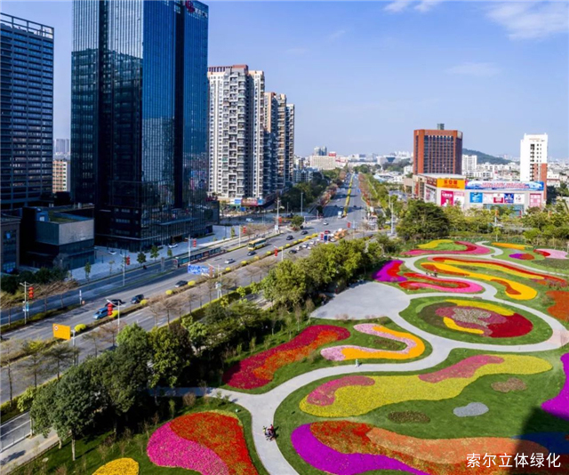 广东深圳:立体绿化助力花漾街区建设