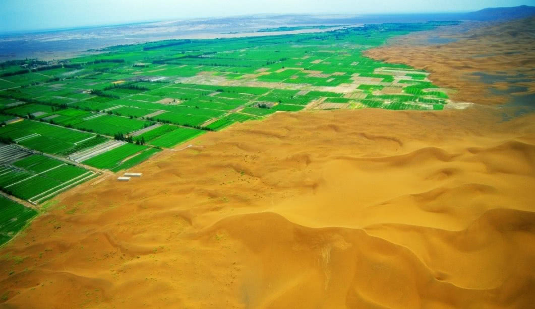 中国在治理沙漠，其他国家却在创造沙漠，这个沙丘每年前进5米_森林