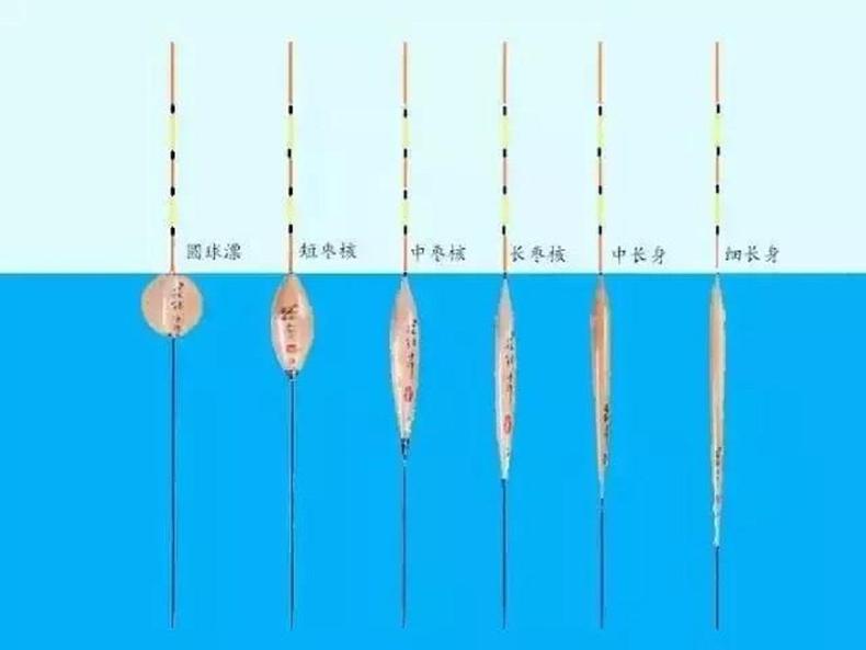 漂浮原理是什么_白带是什么图片