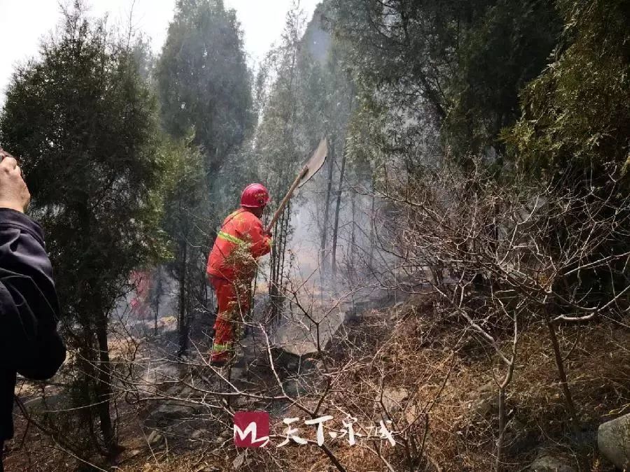 5日下午14时19分,兴隆派出所接到报警称:位于市中区兴隆办事处钅广村