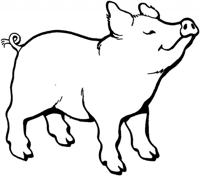 300多斤的寵物豬不慎走丟，找到才發現已經被別人宰了吃了 寵物 第5張