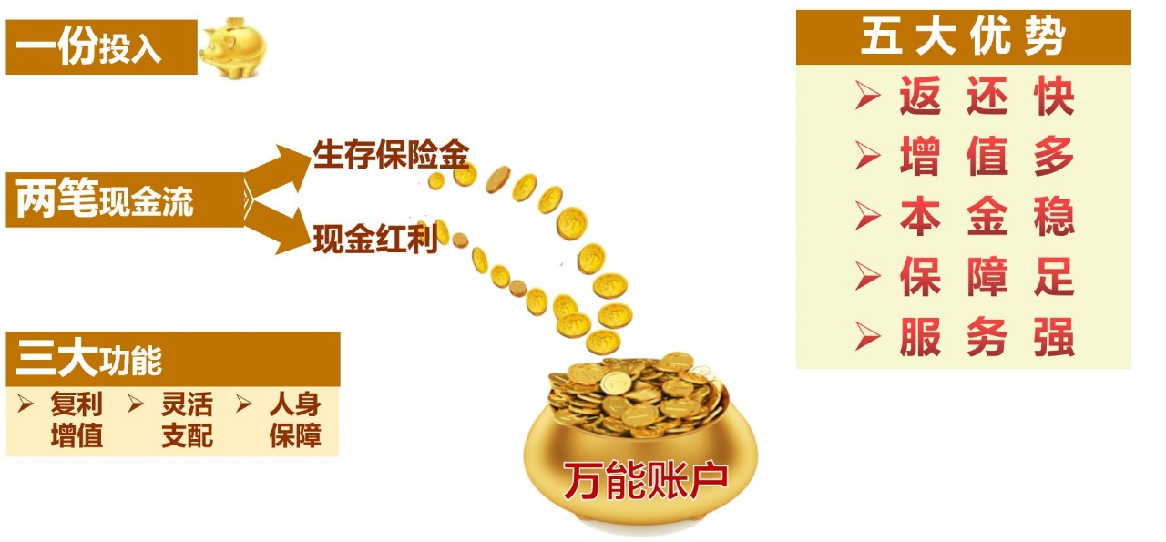 乐鑫2018年金的形态是:年金 万能账户