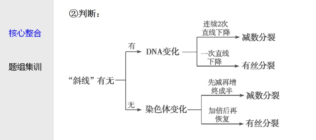 直击高考(三)细胞增殖与受精作用(1)