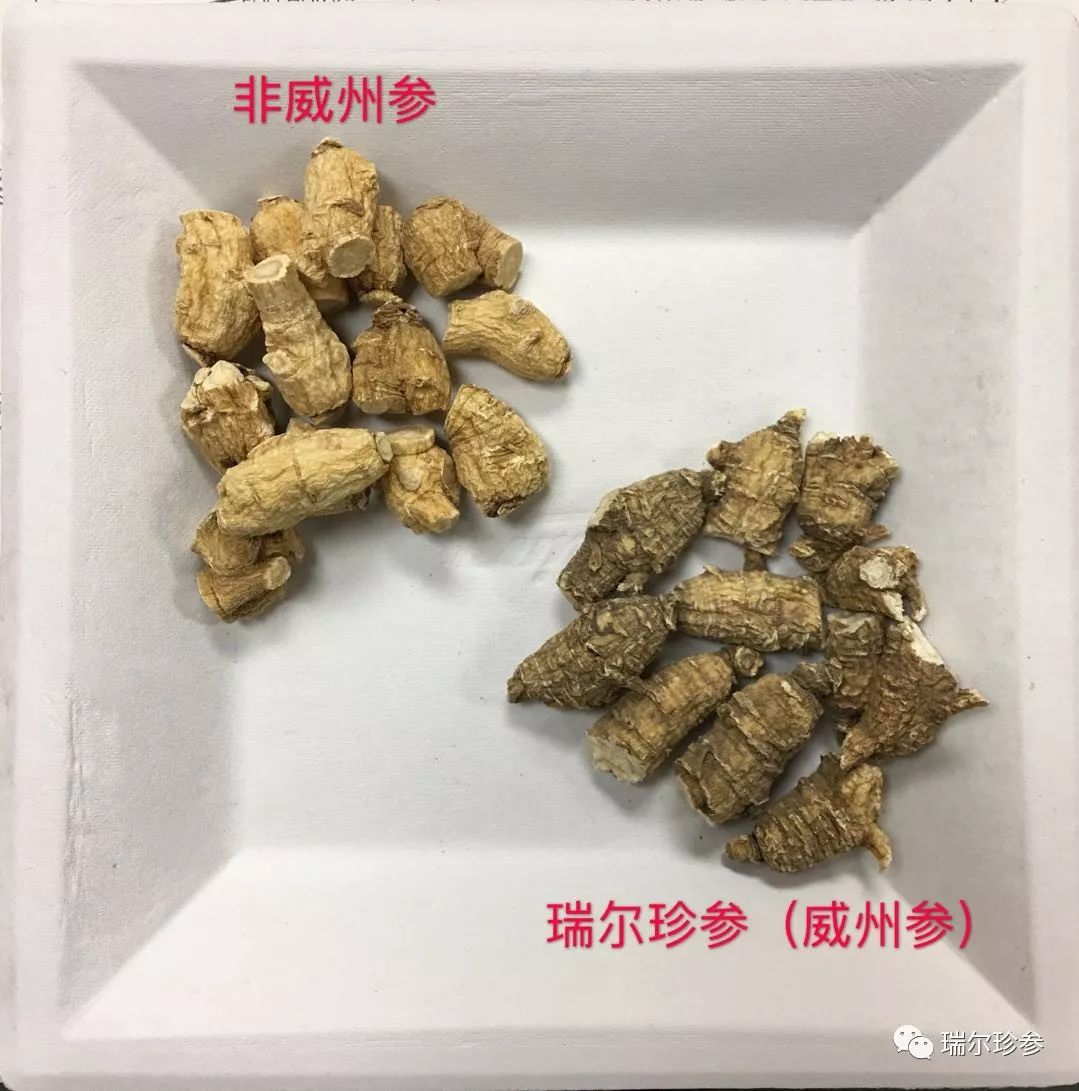 错!花旗参的这些秘密,正是海外商家坑蒙拐骗的嘘头