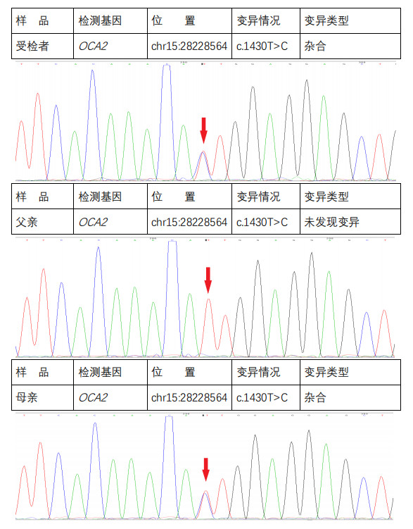 发病率患病率和人口统计学(2)