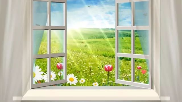 钱钟书:别出门,春天要从窗户里欣赏