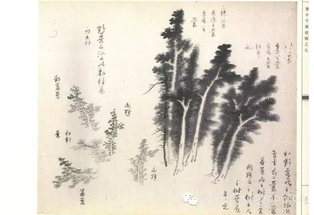 跟着名家学国画:龚贤课徒稿_山水画